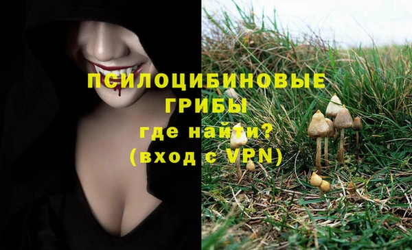 соль ск Белоозёрский