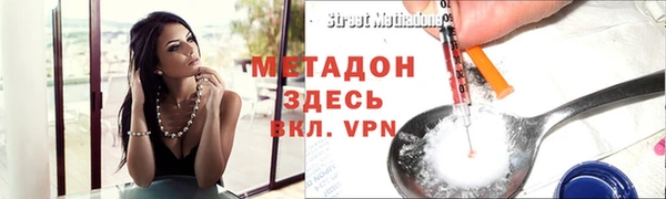 стаф Новозыбков