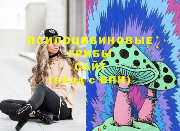 соль ск Белоозёрский
